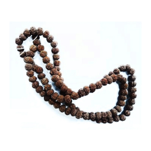 4 mukhi (Face) Rudraksha Beads String