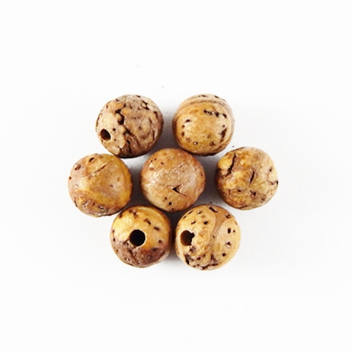Bodhi Seed Beads