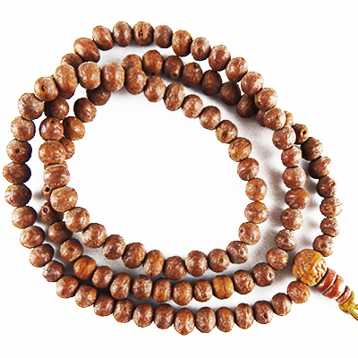Bodhi Seed Beads