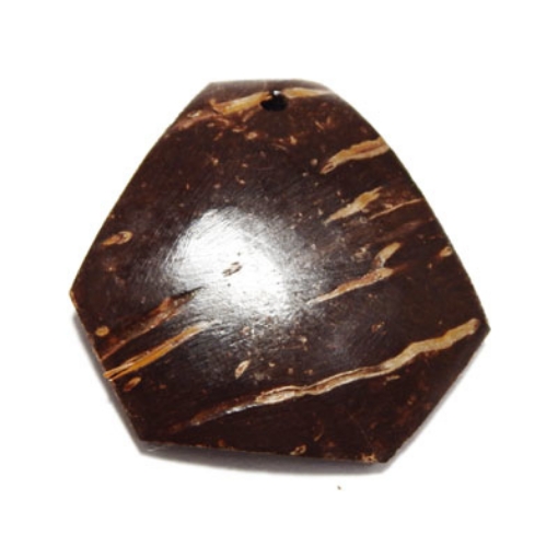 Coconut Shell Pendant