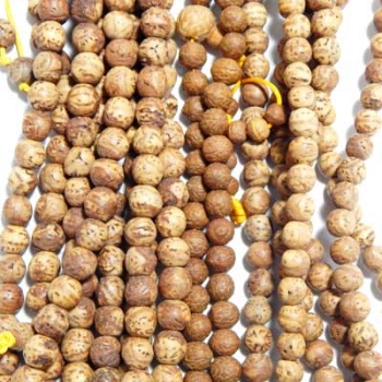 Rudraksha Beads, Sandal Wood Beads, Mala Beads and Supplies Wholesale ...