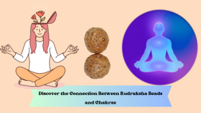 How to Discover the Connection Between Rudraksha Beads and Chakras  Rudraksha Beads, Sandalwood Beads Wholesale Store : Gemstone Beads, Prayer  Mala Beads & Mala Supplies