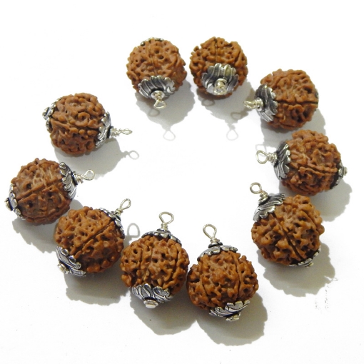 6 Face Capped Rudraksha Pack