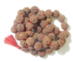 5 Face Nepali Rudraksha Mala