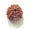 8 Face Nepali Rudraksha