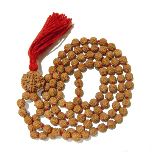 6 Face Nepali Rudraksha in 5 Face Rudraksha knotted Mala 