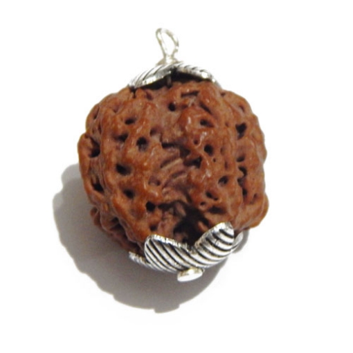 Four face nepali Rudraksha Pendant