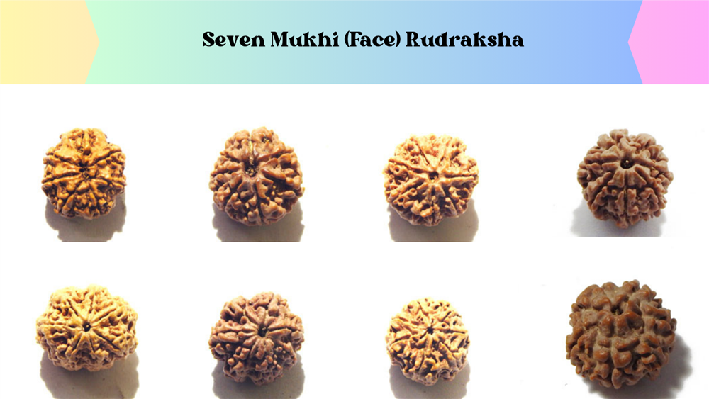 The top 5 Rudraksha mukhis for wellbeing and health |Rudraksha Beads ...